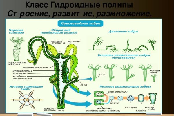 Кракен маркет что это такое