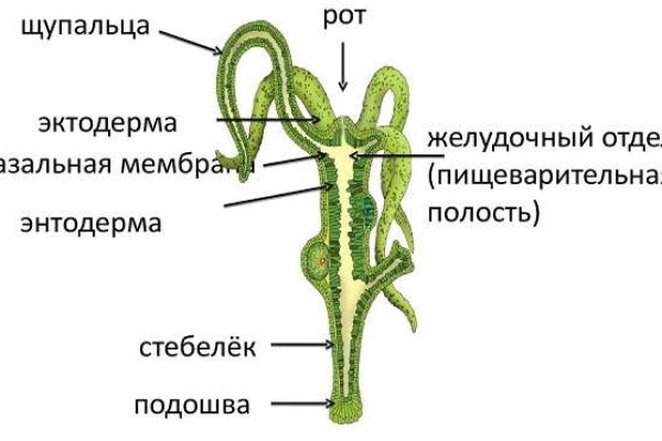 Кракен маркетплейс вход